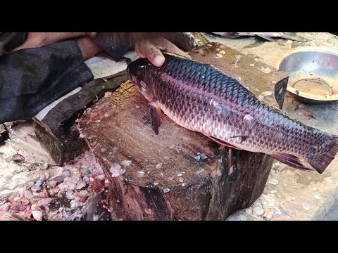 Thumbnail for Uzzal Fish Cutting is live!various types of fish cutting 🐠🐟🐠🐟