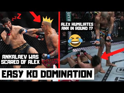 Thumbnail for Alex Pereira DESTROYS Magomed Ankalaev In ONE MINUTE? My Full Fight Reaction For UFC 320!