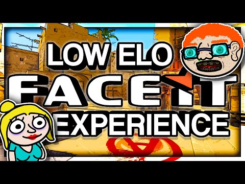 Thumbnail for THE LOW RANK FACEIT EXPERIENCE