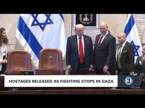 Thumbnail for Hostages released as fighting stops in Gaza