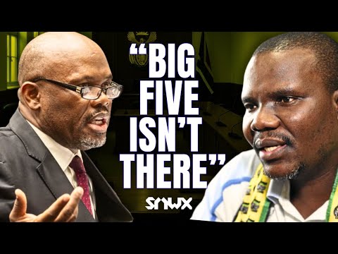 Thumbnail for Ntuli grills Sibiya in big Parliament exchange