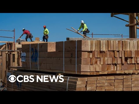 Thumbnail for Trump's new tariff on wood takes effect as farmers feel shutdown impact