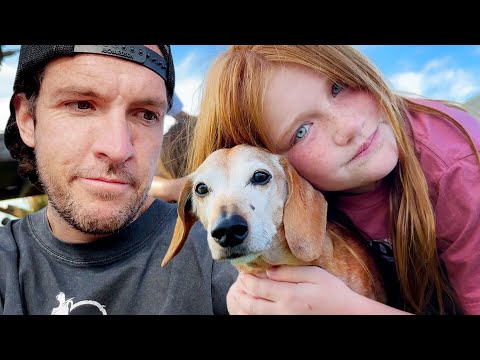 Thumbnail for SAYiNG GOODBYE to KOOPA.. sad to see our dog struggle but happy to reflect on our best memories ever