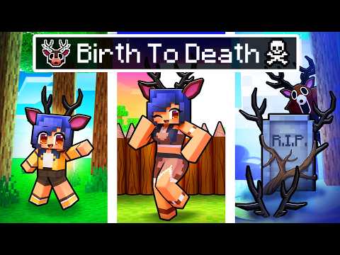 Thumbnail for BIRTH to DEATH of the FOREST DEER in Minecraft!