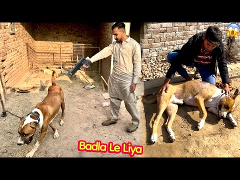 Thumbnail for BASSAM IS BADSHAH AND GAOT🐐 YOU ARE THE ONLY ONE😱