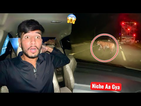 Thumbnail for GARI🚘 KY NICHE JUNGLE JANWAR AA GYA💔