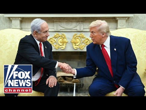 Thumbnail for 'Transformative moment': Egyptian official previews Trump summit