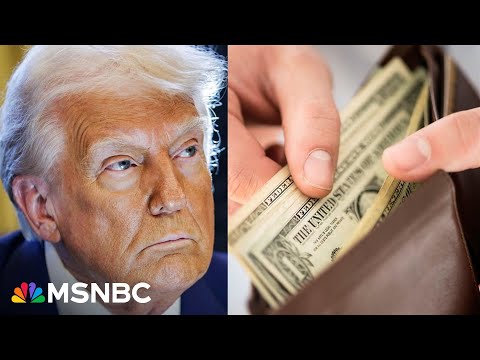 Thumbnail for Goldman Sachs: U.S. consumers bearing more than half the cost of Trump's tariffs