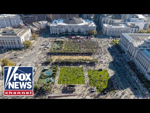 Thumbnail for 'DEBUNKED': Inside the 'No Kings' protests