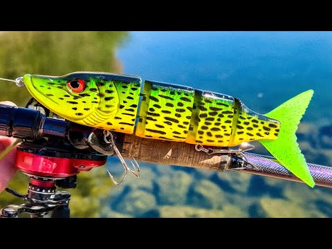 Thumbnail for A Company is Making One of My Baits... and It Caught Me a New Species