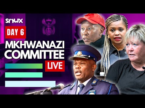 Thumbnail for Day 6: MPs question Sibiya (no breaks)
