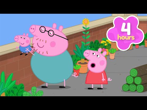 Thumbnail for SECRET GARDEN on the Roof! 🪴 Peppa Pig Full Episodes | 4 Hours