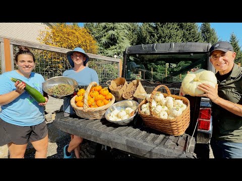 Thumbnail for A Major Harvest and HUGE Garden Clean Up!! I Couldn't Have Done it Without Their Help!!