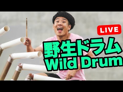 Thumbnail for Wild Drum Live