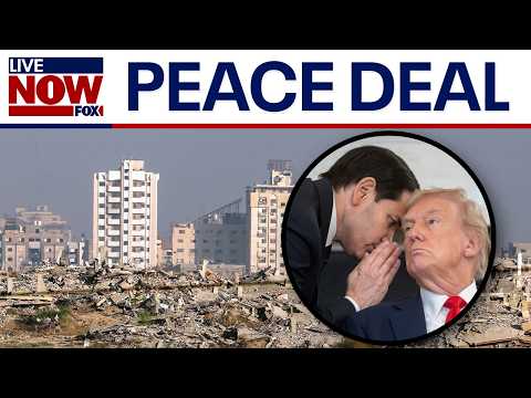 Thumbnail for Israel & Hamas agree on first phase of ceasefire deal, hostages will be released 'very soon'