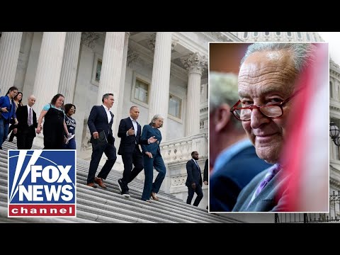 Thumbnail for Dems are excited to cover this up: Mary Katharine Ham