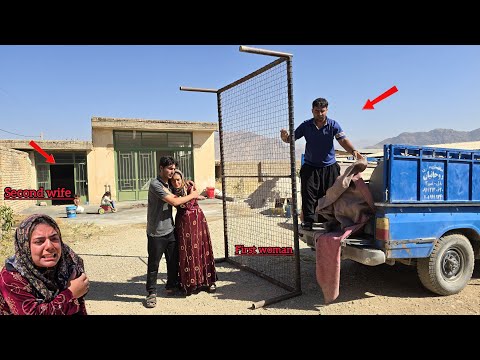 Thumbnail for Ayas brought Amir and Fatima's belongings to the new place: Will the second wife find the new place?
