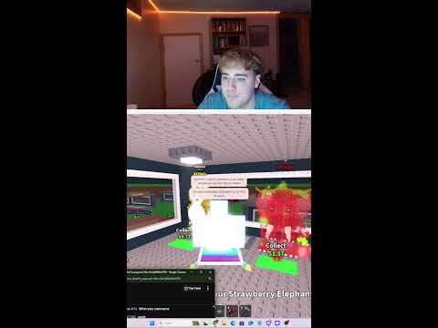 Thumbnail for STEAL A BRAINROT GIVEAWAY LIVE | STEAL A BRAINROT FREE SECRETS + FREE BRAINROT GODS