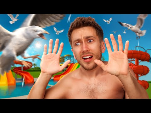 Thumbnail for SEAGULLS INVADE THE WATERPARK...