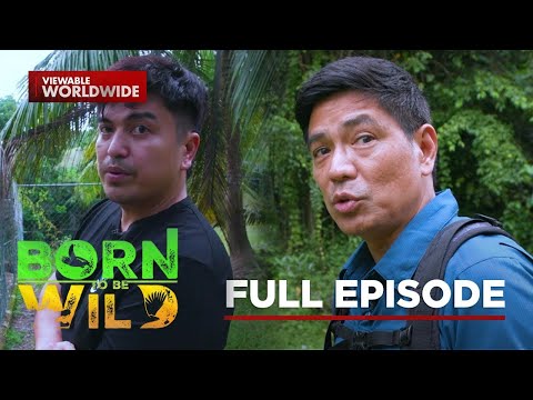 Thumbnail for The Songbird Siloy and the Conservation of the Visayan Spotted Deer | Born to Be Wild (Full Episode)