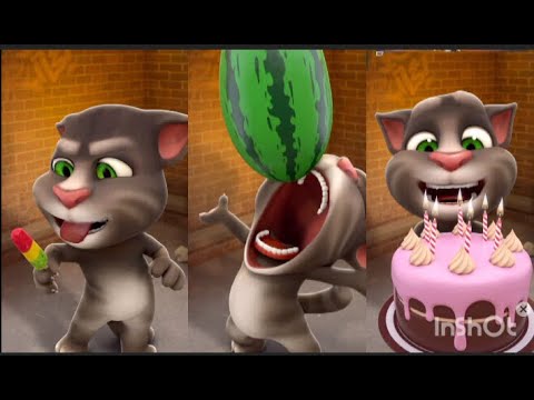 Thumbnail for Talking Tom Game