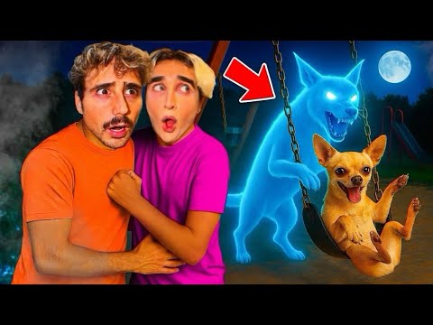 Thumbnail for WE CAUGHT OUR DOG PLAYING WITH HIS IMAGINARY FRIEND…😱