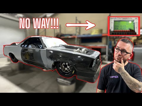 Thumbnail for Mullet is "DONE". We weighed Mullet and the Results are INSANE!