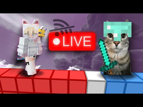 Thumbnail for WIFI BACK!! Bridge duels but im a cat.. ≽^• ˕ • ྀི≼ (Portrait)