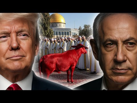 Thumbnail for WHAT TRUMP AND NETANYAHU JUST DID IS IN THE BIBLE