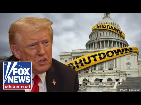 Thumbnail for Trump takes aim at Dems, says they have ‘no future’: ‘KAMIKAZE PILOTS’