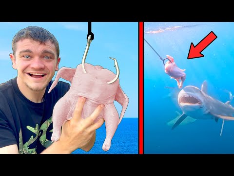 Thumbnail for Can I Catch a Bull Shark on a Raw Chicken?