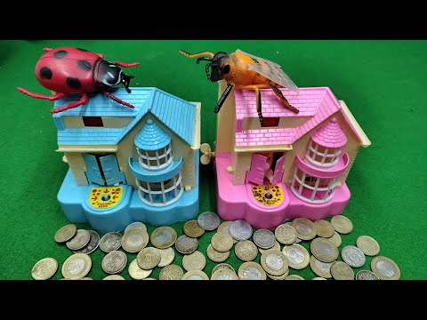 Thumbnail for Cutest Puppy House Ever live .You Wonβt Believe This! ππ