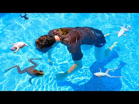 Thumbnail for Frogs Love Drowning, so I made them a Pond (2 year experiment)