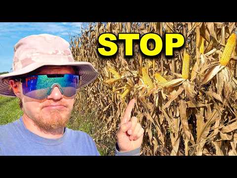 Thumbnail for I Had To Stop Corn Harvest