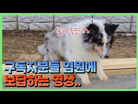 Thumbnail for 다 이때를 위해서 였습니다...