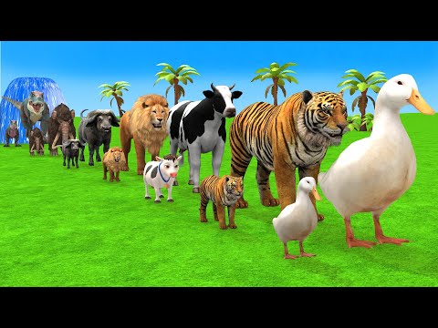 Thumbnail for Long Slide Game With Cow Elephant Gorilla Hippopotamus Tiger - 3d Animal Game - Funny 3d Animals