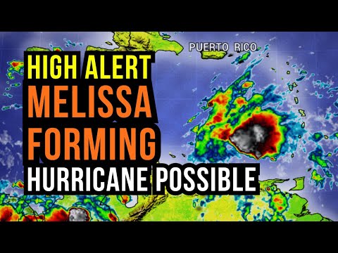 Thumbnail for High Alert for a Hurricane...