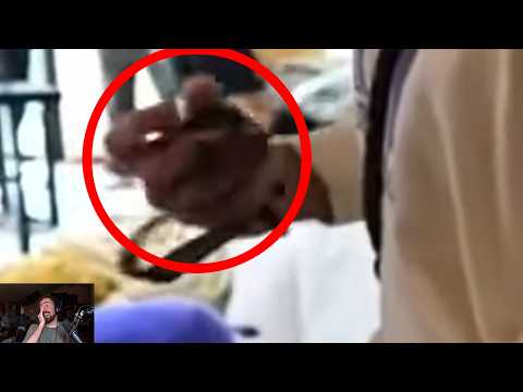 Thumbnail for Ladies and gentlemen, we got him..