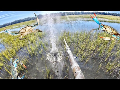 Thumbnail for Cast Netting Shrimp, Shooting Marsh Hens and Cooking Blue Crab. (Catch & Cook) 