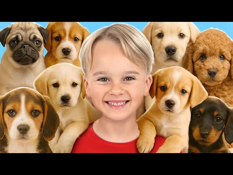 Thumbnail for Kids Take Care of Animals at the Shelter