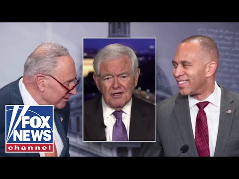 Thumbnail for 'THIS IS INSANITY': Newt Gingrich ridicules Dems' handling of shutdown on Capitol Hill