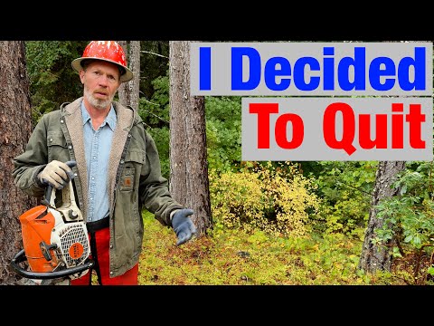 Thumbnail for Why I Quit Logging & Working in the Woods