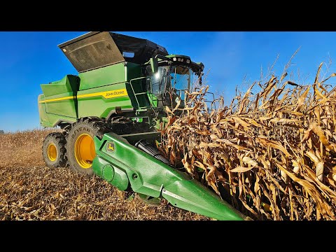 Thumbnail for How Is Our Corn THIS Dry Already?