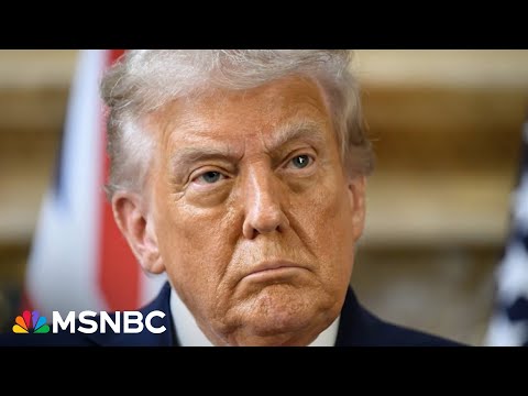 Thumbnail for Trump sees government shutdown as 'win-win situation': Journalist
