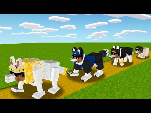 Thumbnail for From to Birth to Death as a Dog in Minecraft..
