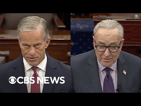 Thumbnail for Thune and Schumer speak about government shutdown on Day 20