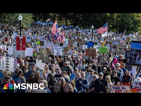 Thumbnail for Is the resistance against Trump reaching ‘critical mass’ after record setting protests?