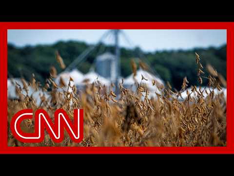 Thumbnail for Soybean farmer on Trump's tariff war: 'I mean, where do they want me to market this stuff?'