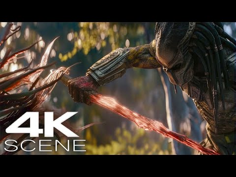 Thumbnail for The Predator Becomes The Prey (2025) Fight Scene | Predator: Badlands Movie Clip & Trailer 4K
