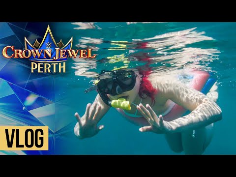 Thumbnail for IYO SKY and CM Punk play with quokkas and swim in Australia: Crown Jewel 2025 vlog